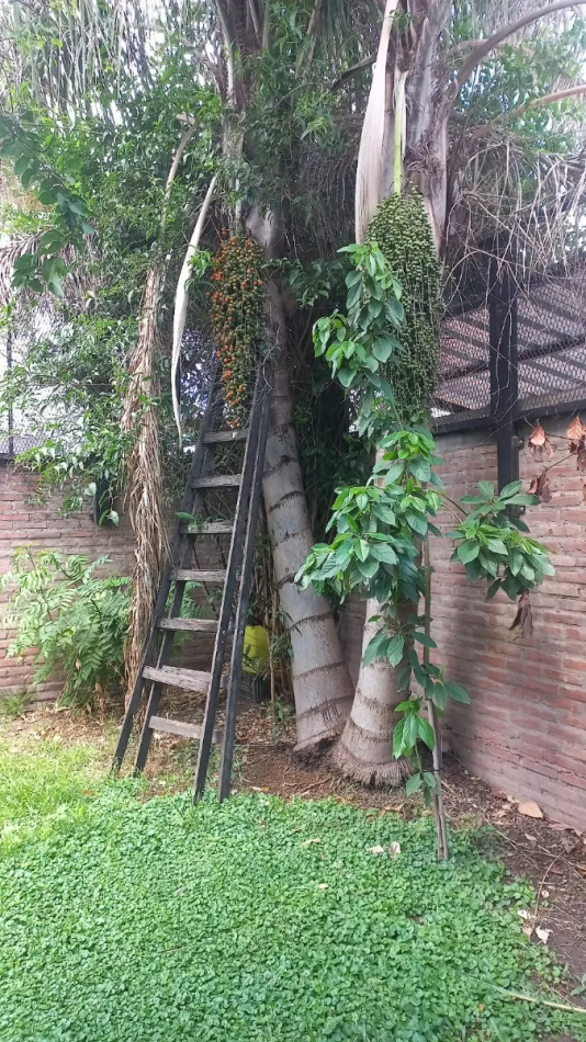 Casa Minimalista 4 Amb En Ituzaingo